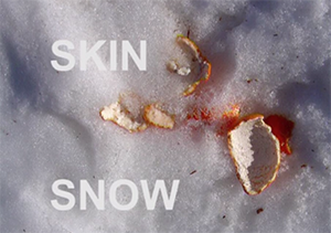 skin snow